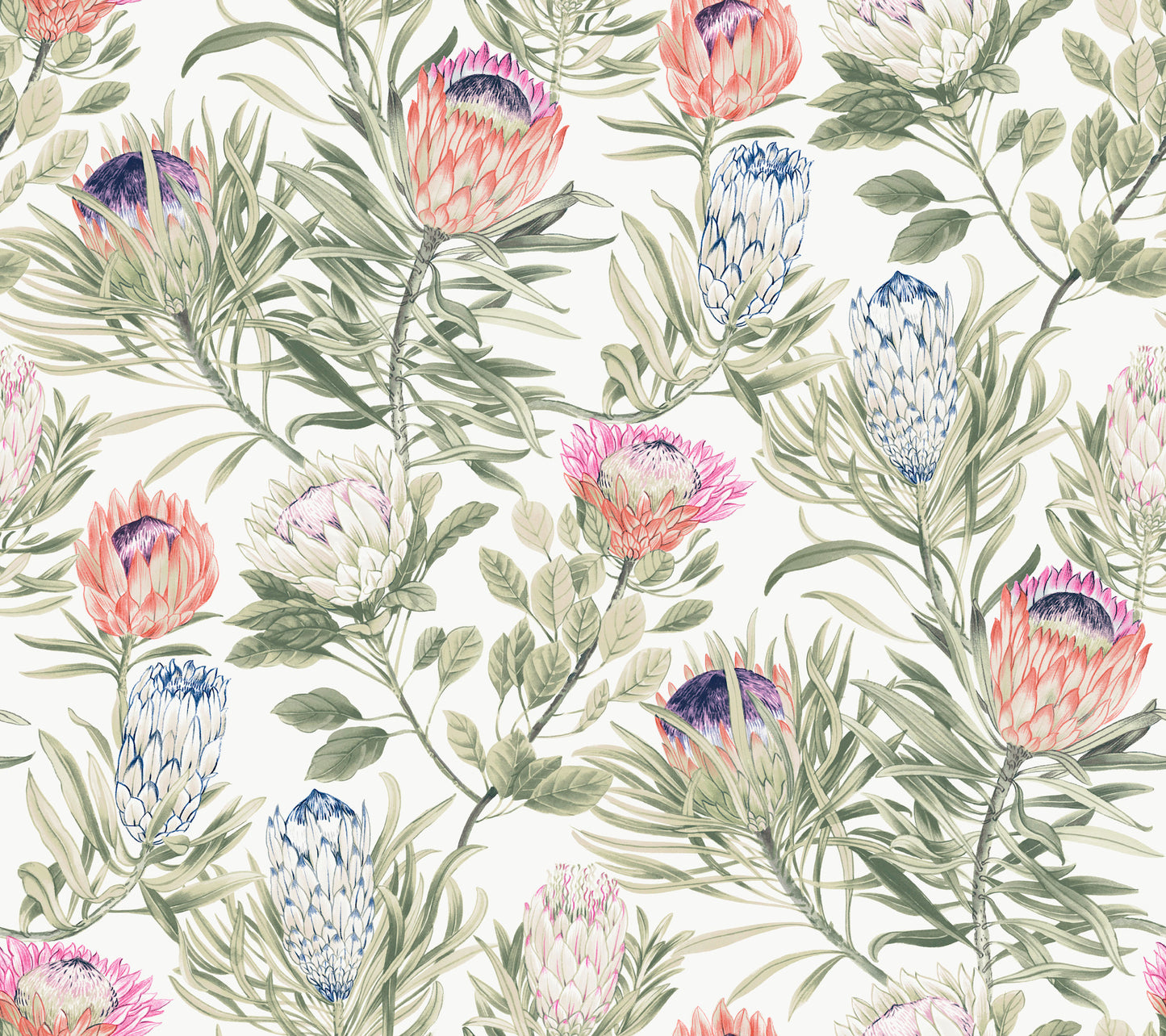 York Wallcoverings Blooms Protea White and Fuchsia Wallpaper  Florals and Flowers Whites and Off-Whites  Wallpaper - BL1752