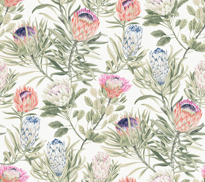 York Wallcoverings Blooms Protea White and Fuchsia Wallpaper  Florals and Flowers Whites and Off-Whites  Wallpaper - BL1752