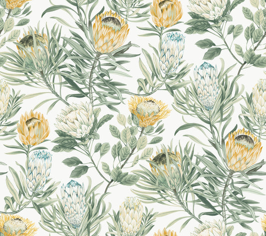 York Wallcoverings Blooms Protea White and Yellow Wallpaper  Florals and Flowers Whites and Off-Whites  Wallpaper - BL1754