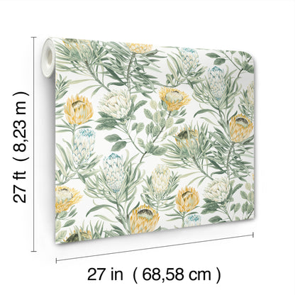 York Wallcoverings Blooms Protea White and Yellow Wallpaper  Florals and Flowers Whites and Off-Whites  Wallpaper - BL1754