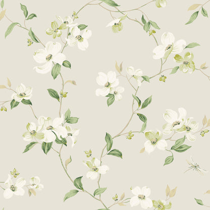 York Wallcoverings Blooms Dogwood Light Grey Wallpaper  Florals and Flowers Whites and Off-Whites  Wallpaper - BL1762