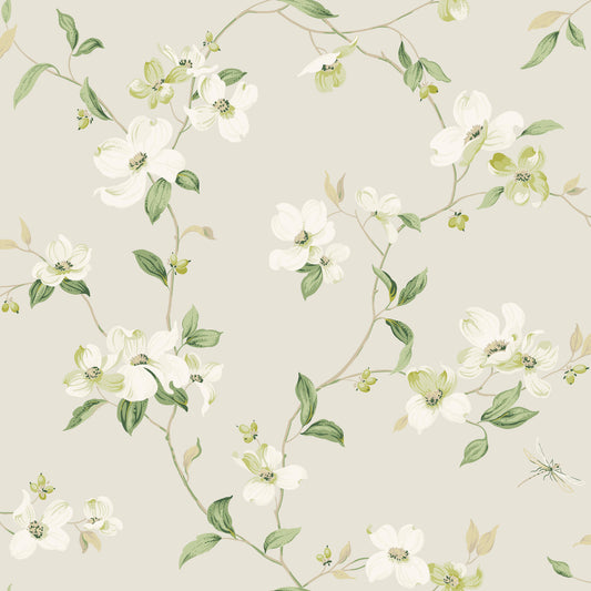 York Wallcoverings Blooms Dogwood Light Grey Wallpaper  Florals and Flowers Whites and Off-Whites  Wallpaper - BL1762