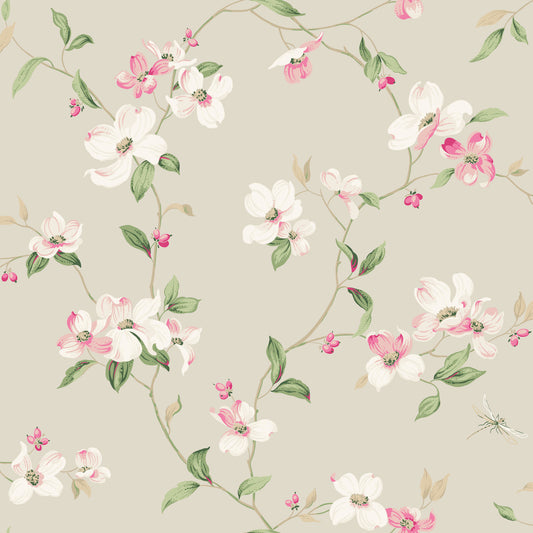 York Wallcoverings Blooms Dogwood Taupe Wallpaper  Florals and Flowers Beiges  Wallpaper - BL1763