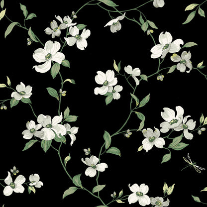 York Wallcoverings Blooms Dogwood Black Wallpaper  Florals and Flowers Blacks  Wallpaper - BL1764