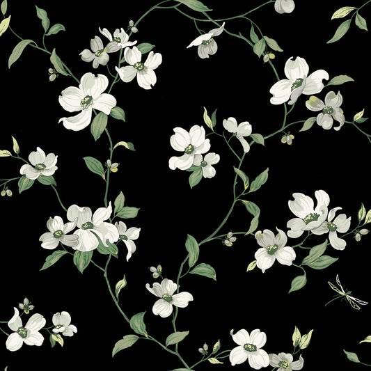 York Wallcoverings Blooms Dogwood Black Wallpaper  Florals and Flowers Blacks  Wallpaper - BL1764