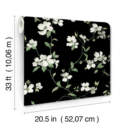 York Wallcoverings Blooms Dogwood Black Wallpaper  Florals and Flowers Blacks  Wallpaper - BL1764