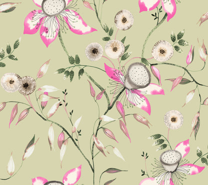 York Wallcoverings Blooms Dream Blossom Light Green Wallpaper  Florals and Flowers Greens  Wallpaper - BL1791