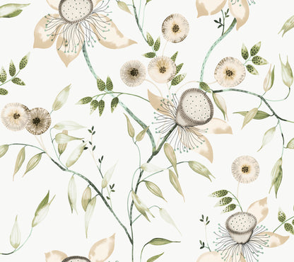 York Wallcoverings Blooms Dream Blossom White and Green Wallpaper  Florals and Flowers Whites and Off-Whites  Wallpaper - BL1793