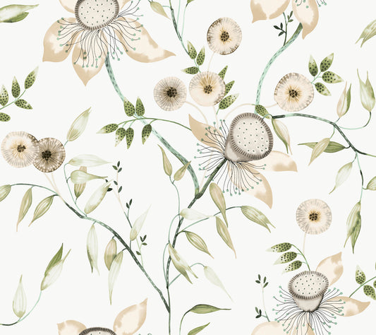 York Wallcoverings Blooms Dream Blossom White and Green Wallpaper  Florals and Flowers Whites and Off-Whites  Wallpaper - BL1793