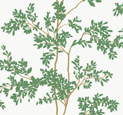 York Wallcoverings Blooms Lunaria Silhouette White and Green Wallpaper  Botanical Whites and Off-Whites  Wallpaper - BL1801
