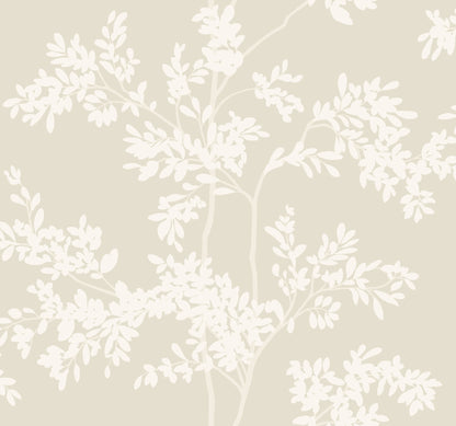 York Wallcoverings Blooms Lunaria Silhouette Light Taupe and White Wallpaper  Botanical Beiges  Wallpaper - BL1805