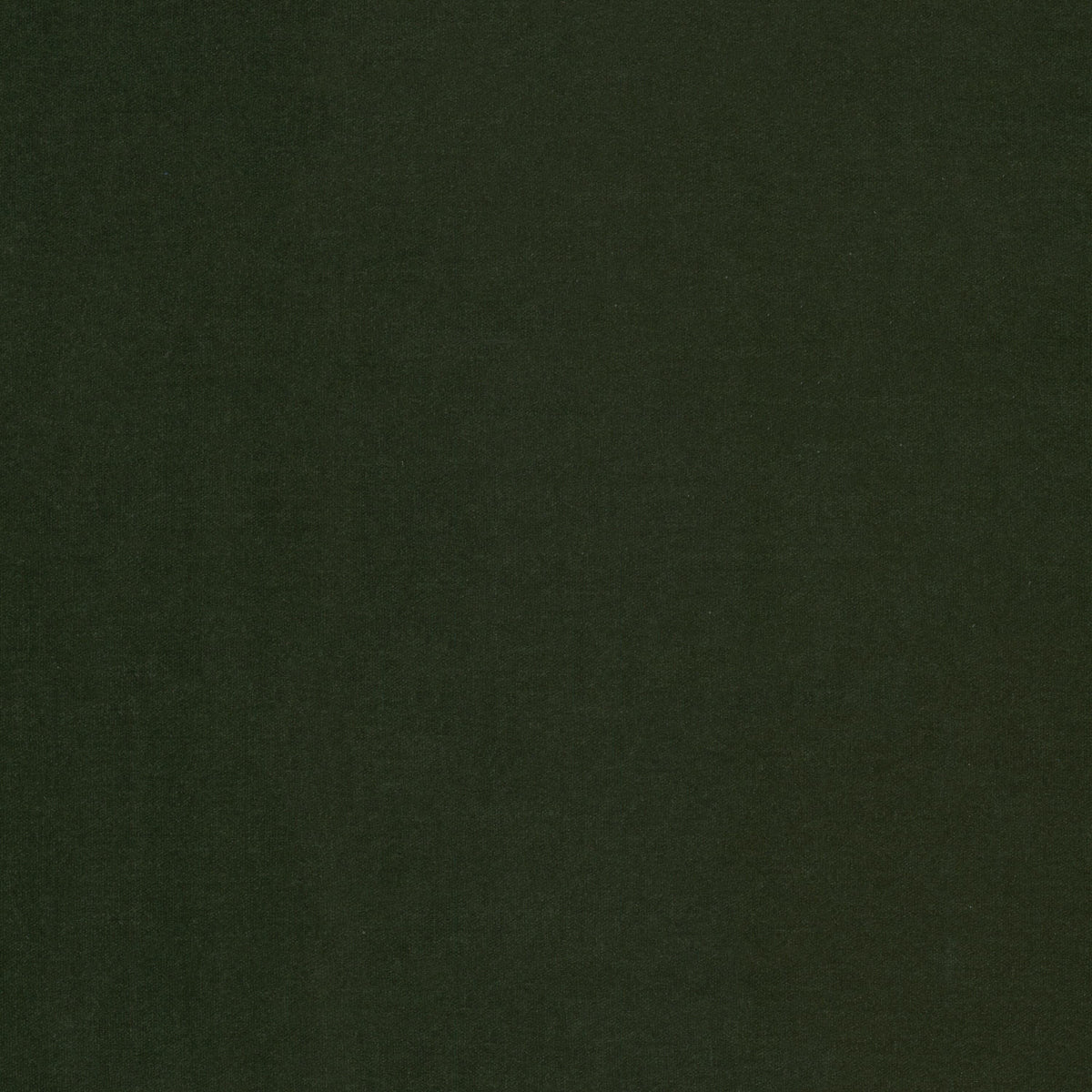 STOUT TEXTILES  UPHOLSTERY,CHENILLE TRADITIONAL, SOLID JUNGLE   - BLAB-1
