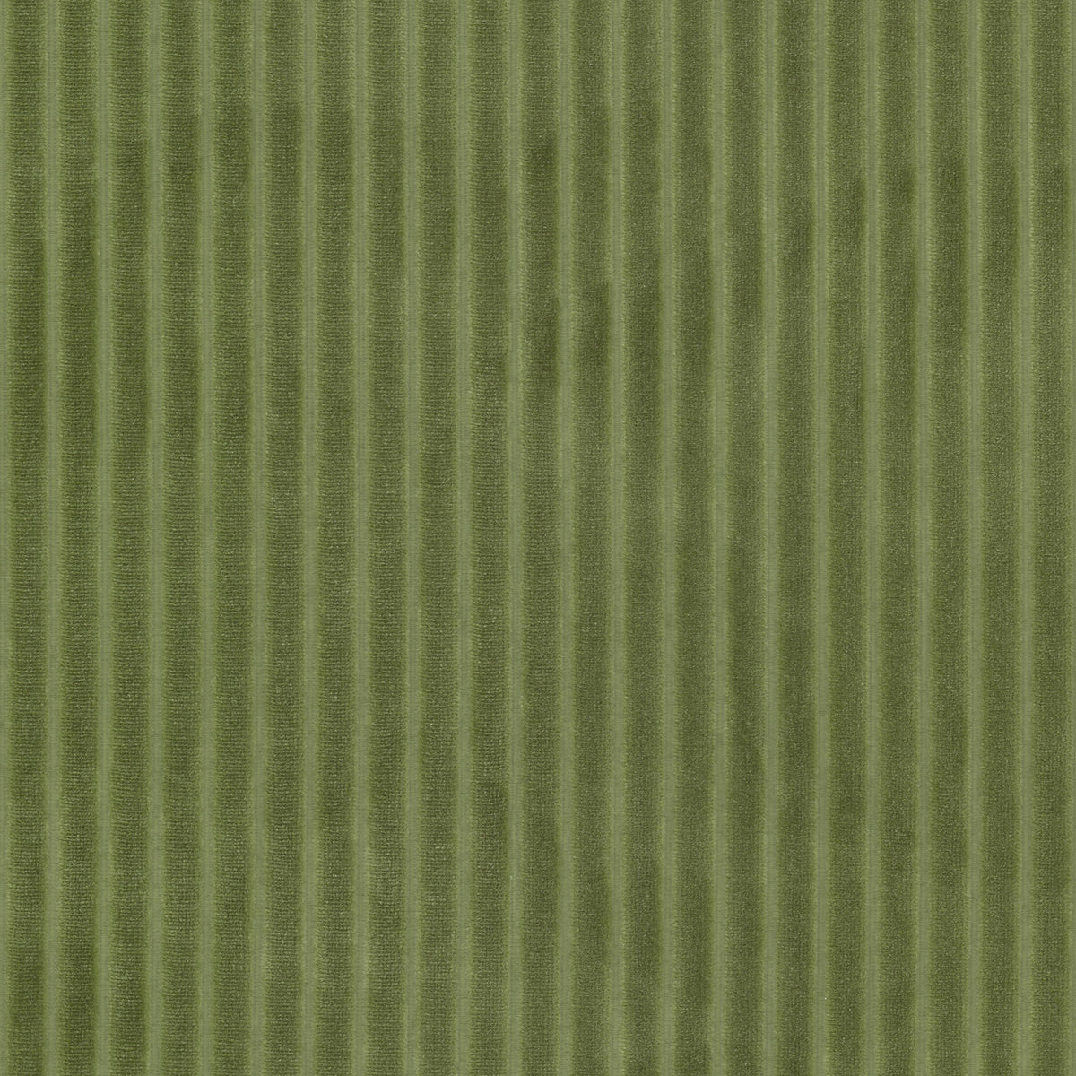 STOUT TEXTILES  UPHOLSTERY,VELVET TRADITIONAL, STRIPE CHIVE   - BLIN-2