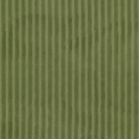 STOUT TEXTILES  UPHOLSTERY,VELVET TRADITIONAL, STRIPE CHIVE   - BLIN-2