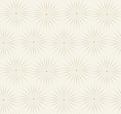 York Wallcoverings Antonina Vella Boho Luxe Starlight White and Silver Wallpaper  Bohemian Whites and Off-Whites  Wallpaper - BO6692