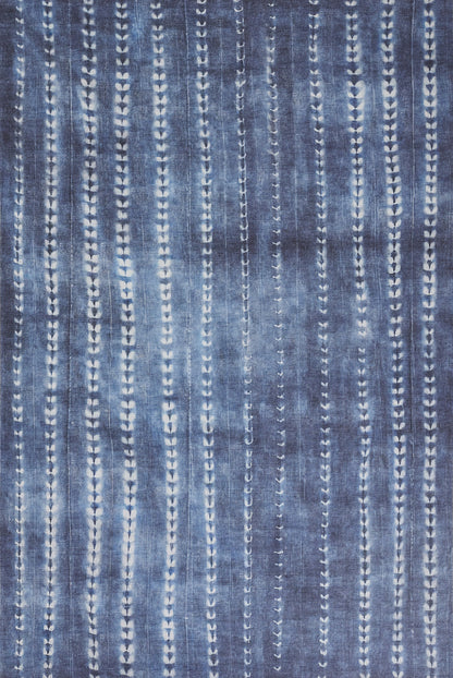 Blue denim-like fabric with vertical white dotted stripes and small leaf-shaped motifs.