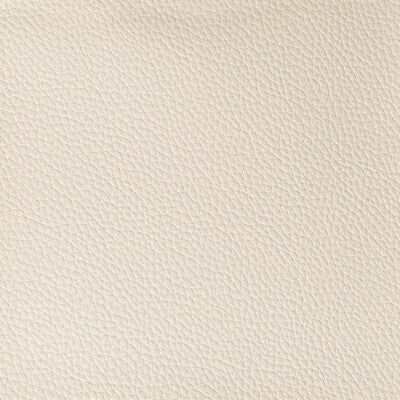 KRAVET CONTRACT VINYL/FAUX LEATHER TEXTURE WHEAT,IVORY,   - BOONE.116.0