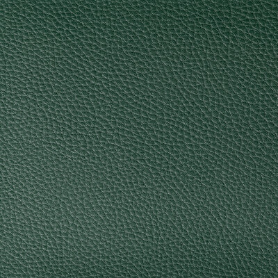 KRAVET CONTRACT VINYL/FAUX LEATHER TEXTURE GREEN,GREEN,GREEN   - BOONE.30.0