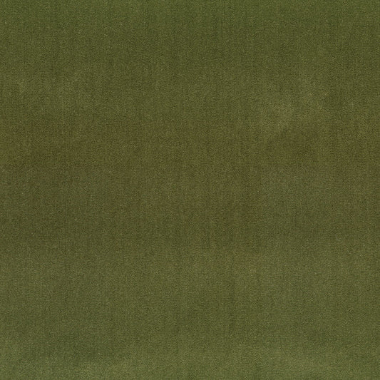 NICHOLASJOHN INC NJ-BOWERY Olive Velvet,Solid   Fabric - NJ25-386