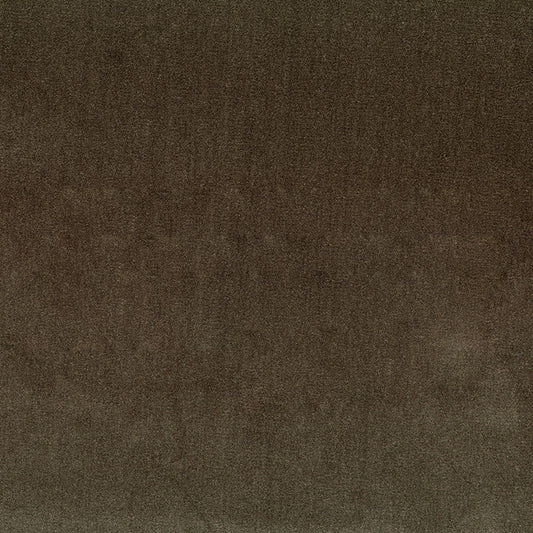 NICHOLASJOHN INC NJ-BOWERY Java Velvet,Solid   Fabric - NJ25-393