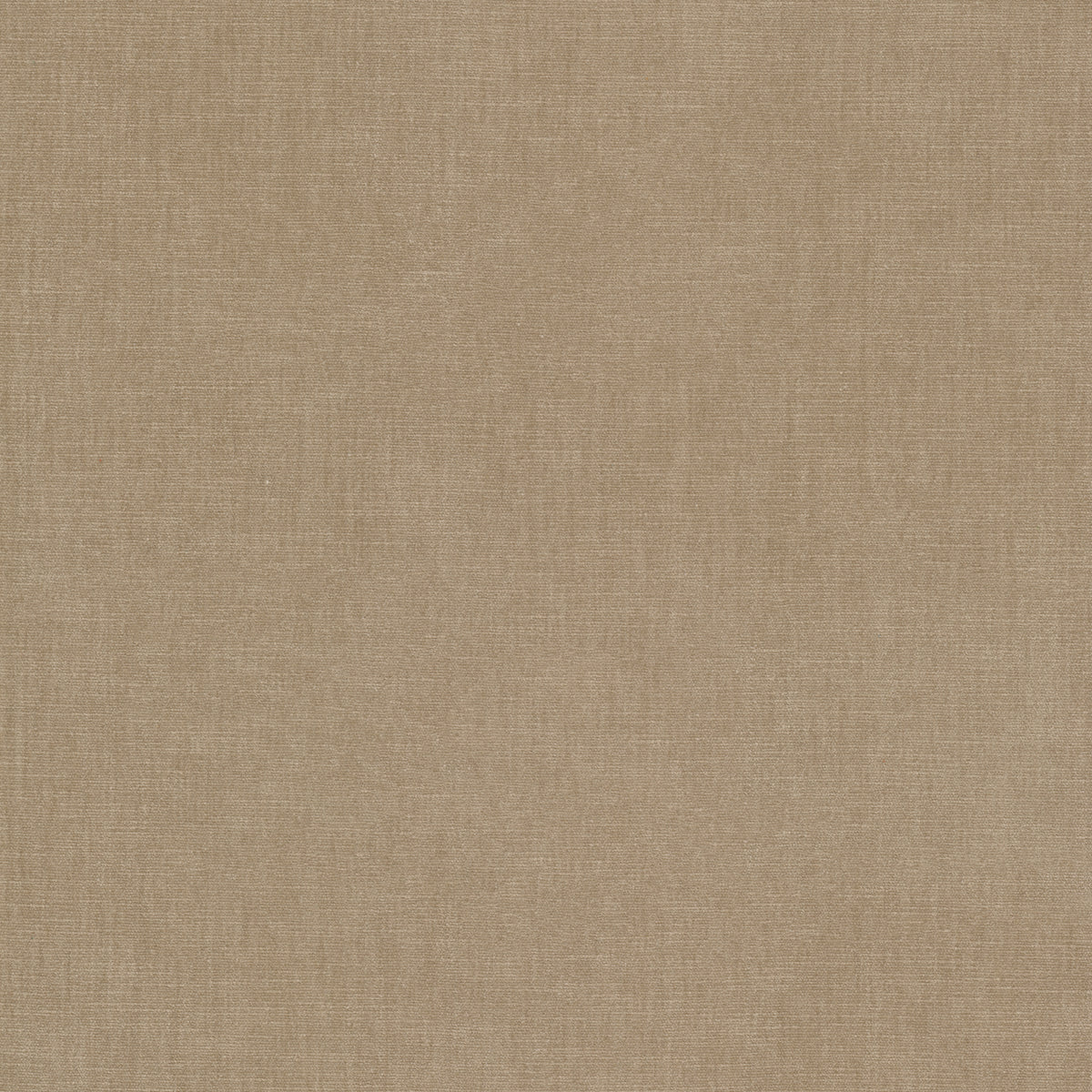 STOUT TEXTILES  UPHOLSTERY,CHENILLE TRADITIONAL, SOLID CAMEL   - BOUN-14