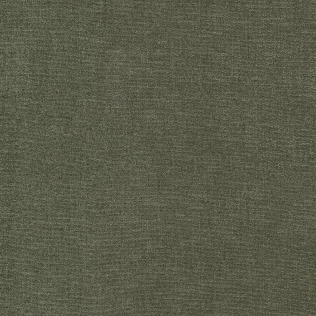 STOUT TEXTILES  UPHOLSTERY,CHENILLE TRADITIONAL, SOLID BASIL   - BOUN-19