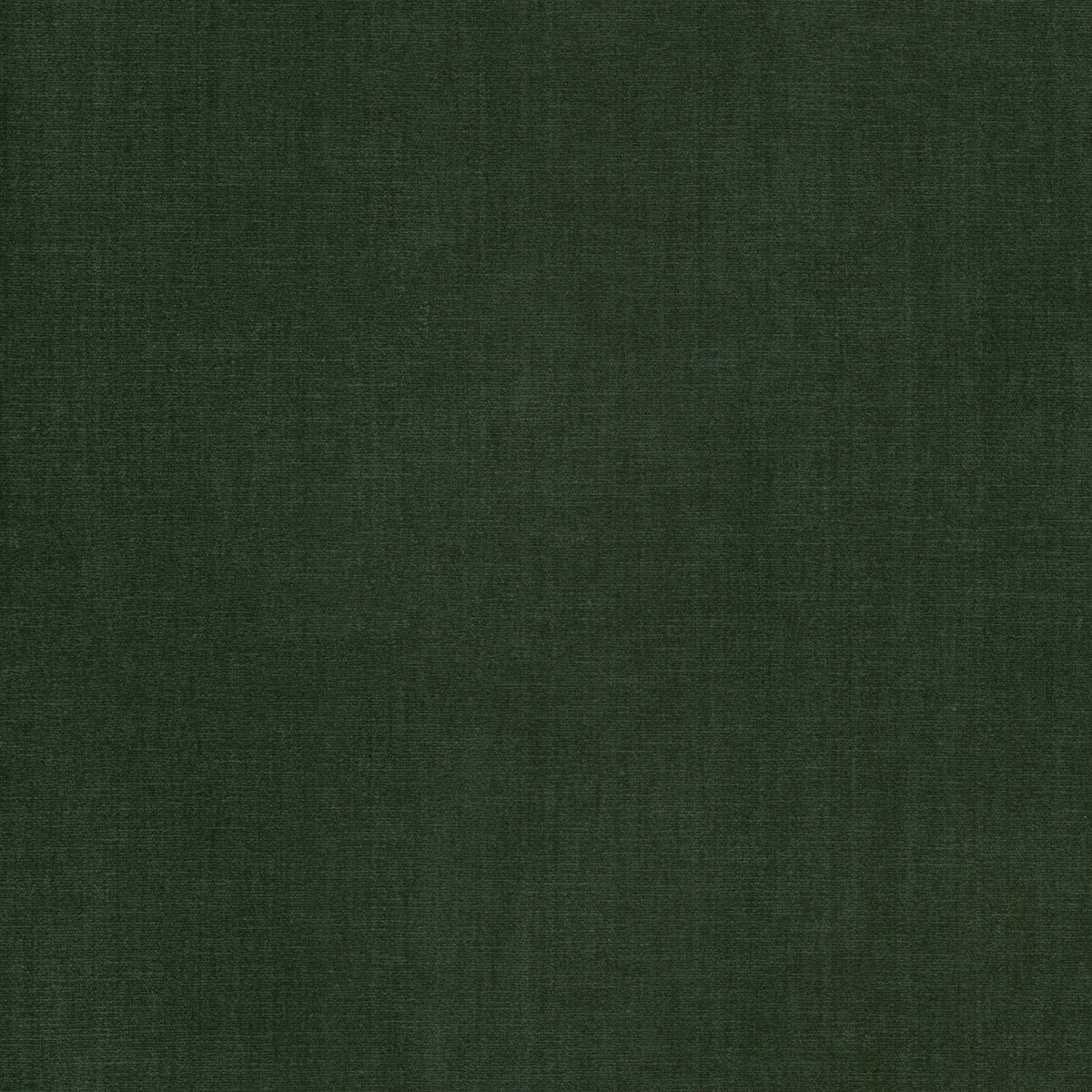 STOUT TEXTILES  UPHOLSTERY,CHENILLE TRADITIONAL, SOLID JUNGLE   - BOUN-28