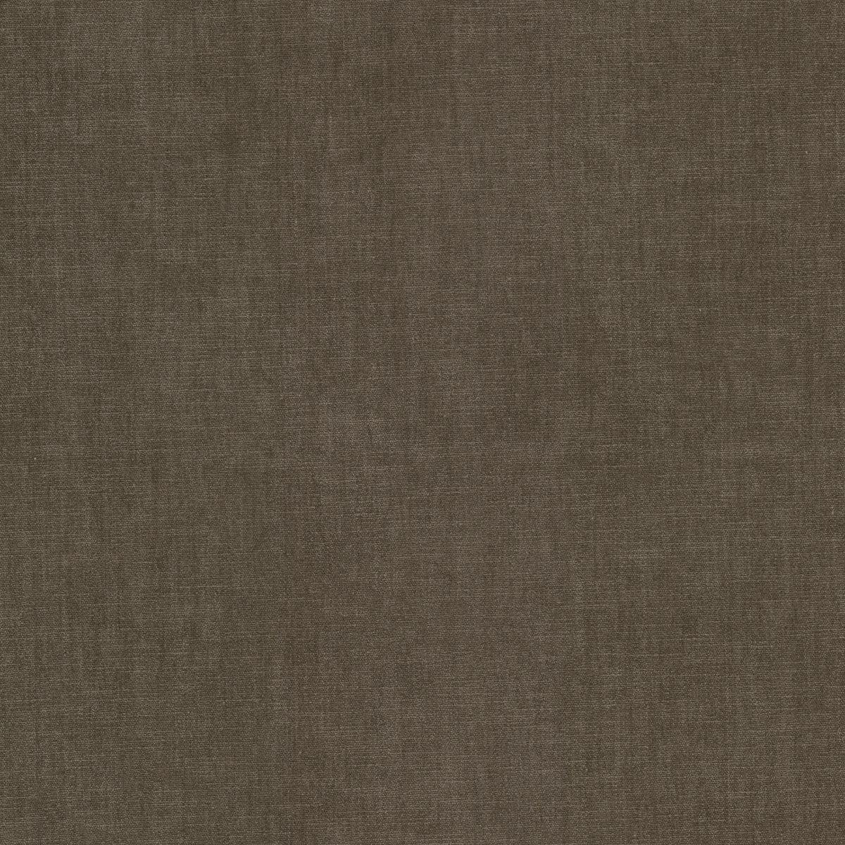 STOUT TEXTILES  UPHOLSTERY,CHENILLE TRADITIONAL, SOLID TWIG   - BOUN-39
