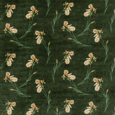 G P & J BAKER VELVET  GREEN,BEIGE,   - BP10819.2.0