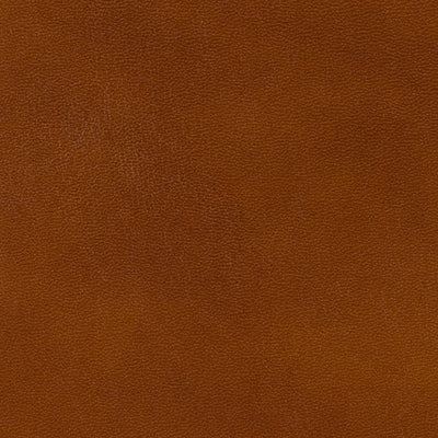 BRUNSCHWIG & FILS LEATHER/SUEDE  BROWN,,   - BR-20009.839.0