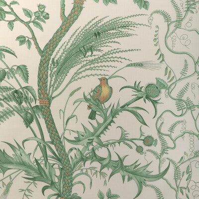 Brunschwig & Fils - Bird and Thistle Cotton Print Green (BR-79431-435) Fabric