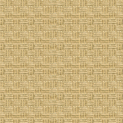 BRUNSCHWIG & FILS CHENILLE TEXTURE BEIGE,,   - BR-800043.052.0