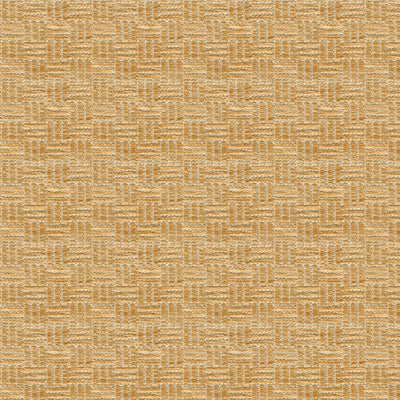 BRUNSCHWIG & FILS CHENILLE TEXTURE BEIGE,,   - BR-800043.063.0