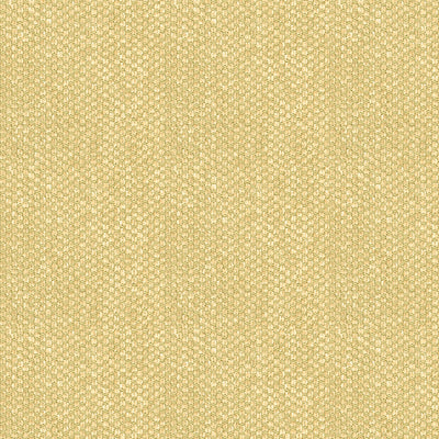 BRUNSCHWIG & FILS CHENILLE TEXTURE BEIGE,,   - BR-81782.057.0