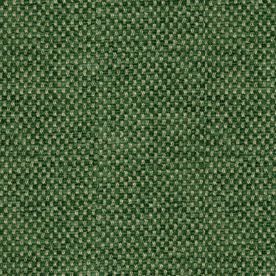 BRUNSCHWIG & FILS CHENILLE TONE ON TONE GREEN,,   - BR-81782.488.0