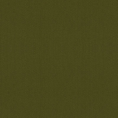 BRUNSCHWIG & FILS WOOL TEXTURE GREEN,,   - BR-89768.489.0