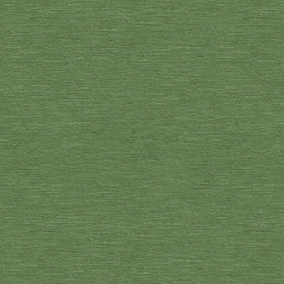 BRUNSCHWIG & FILS VELVET  GREEN,,   - BR-89776.445.0