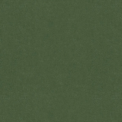 BRUNSCHWIG & FILS MOHAIR TEXTURE GREEN,,   - BR-89778.456.0