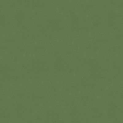 BRUNSCHWIG & FILS VELVET SOLID LIGHT GREEN,,   - BR-89779.410.0