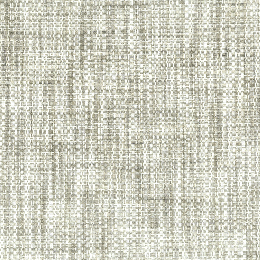 STOUT TEXTILES  UPHOLSTERY,TEXTURE TRADITIONAL, SOLID CEMENT   - BRAX-6