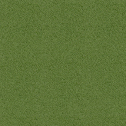 Olive green fabric swatch with a fine pebble-like texture, suitable for upholstery or accessories.