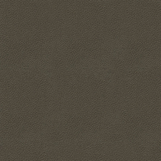 NICHOLASJOHN INC NJ-TINA Brown Solid,Texture   Fabric - NJ25-408