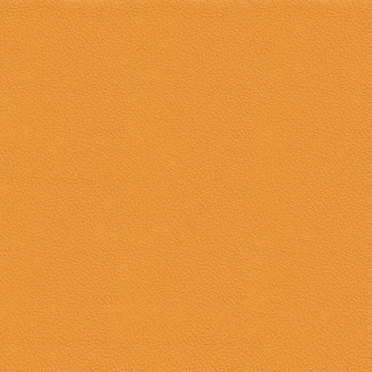 NICHOLASJOHN INC NJ-TINA Orange Solid,Texture   Fabric - NJ25-411