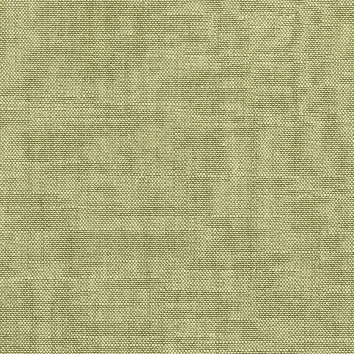 STOUT TEXTILES  MULTIPURPOSE,TEXTURE TRADITIONAL, SOLID APPLE,SEEDLING,SPRING   - BROM-3