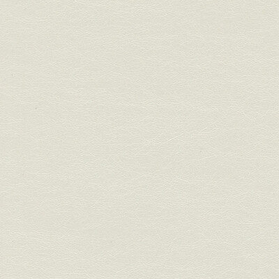 KRAVET DESIGN VINYL/FAUX LEATHER SOLID IVORY,IVORY,   - BRYCE.1.0