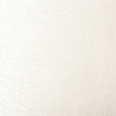 KRAVET DESIGN VINYL/FAUX LEATHER SOLID IVORY,IVORY,   - BRYCE.111.0