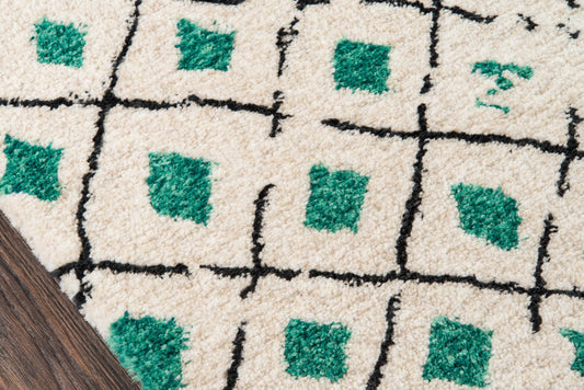 Beige shag rug runner with black grid lines and emerald green squares; textured pile on wood floor.
