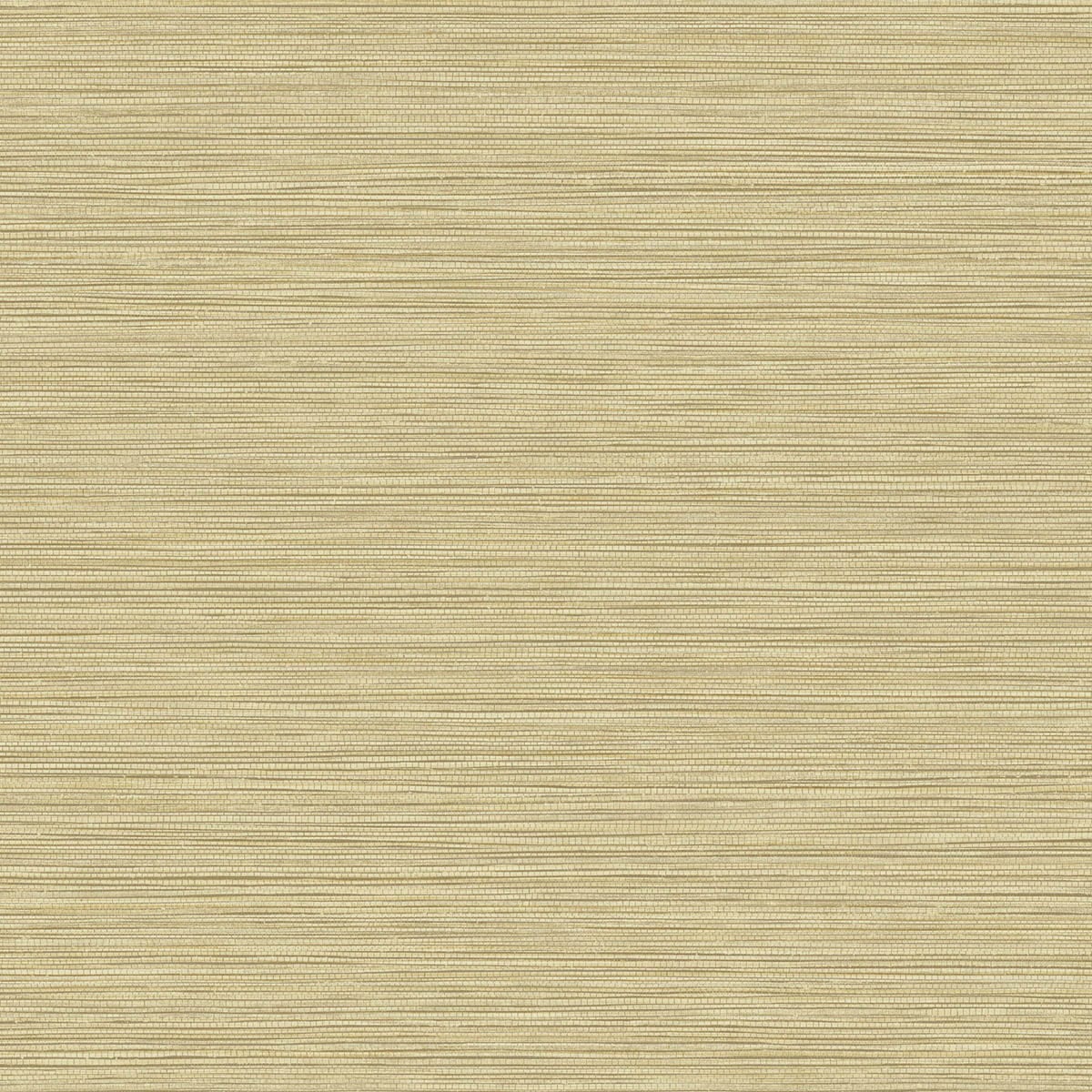 Seabrook Designs Texture Gallery Grasslands Faux Grasscloth Contemporary Beige Matte Sidewall - BV30103