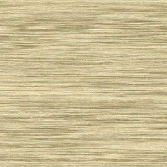 Seabrook Designs Texture Gallery Grasslands Faux Grasscloth Contemporary Beige Matte Sidewall - BV30103