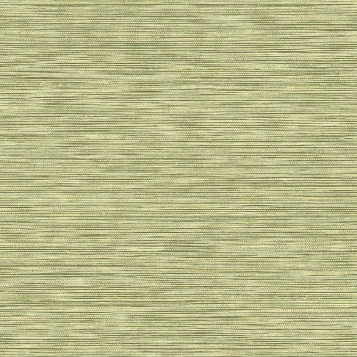 Seabrook Designs Texture Gallery Grasslands Faux Grasscloth Contemporary Green Matte Sidewall - BV30104